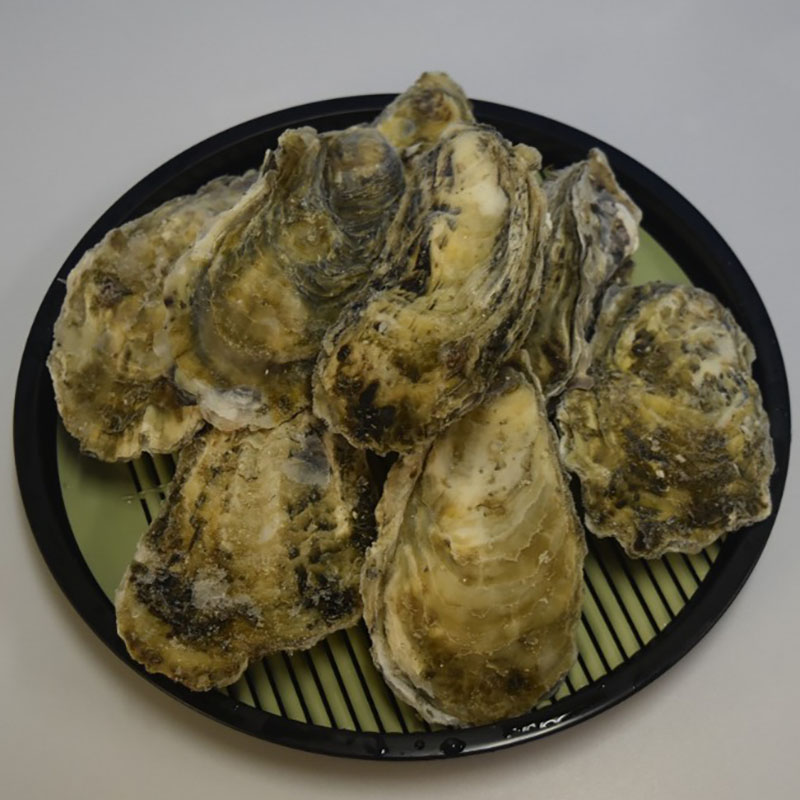 【宮城県産】冷凍殻付き牡蠣　約10kg（約100〜83個）（加熱用）