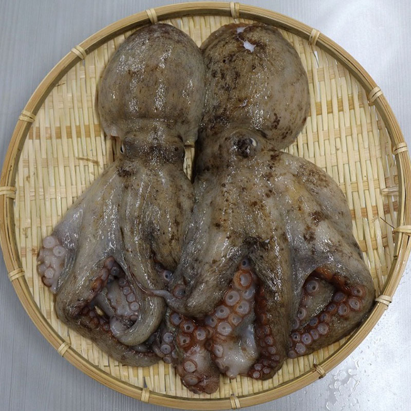 【不定貫】 【宮城県産】冷凍真蛸　4kg（約400ｇ〜1000ｇ/一杯）