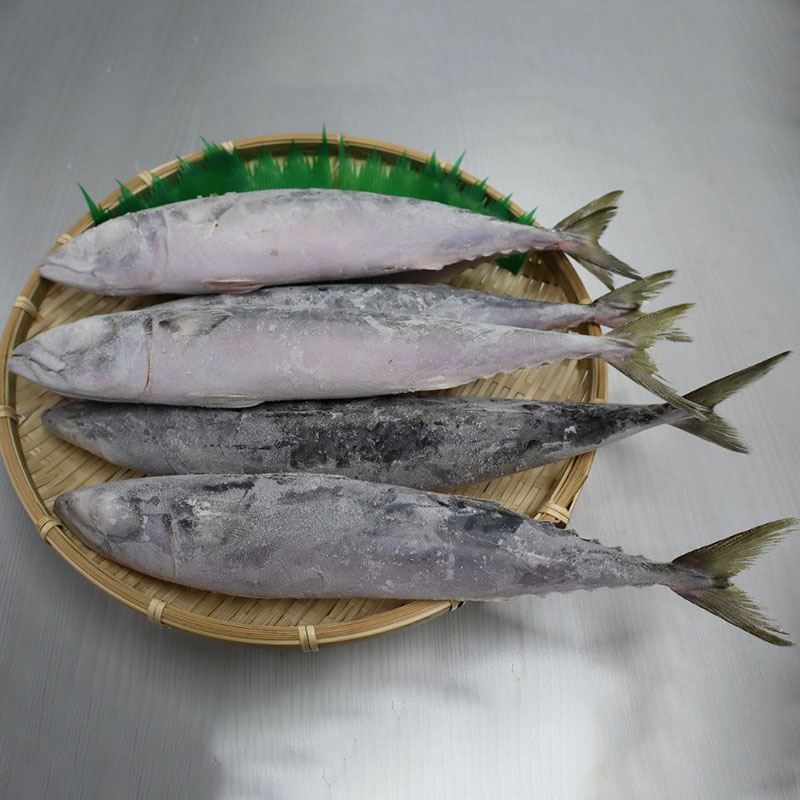【宮城県産】冷凍サバ　8kg（300〜400ｇ/一尾）
