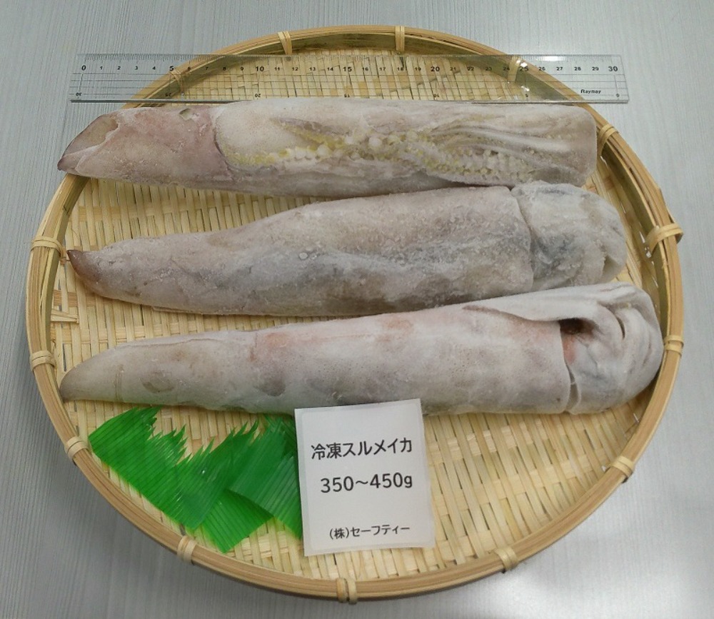 【宮城県石巻産】冷凍スルメイカ　4kg（350-450ｇ/一杯）（8〜11尾）（生食用）
