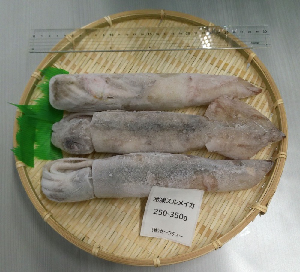 【宮城県石巻産】冷凍スルメイカ　4㎏（250-350ｇ/一杯）（11〜16尾）（生食用）