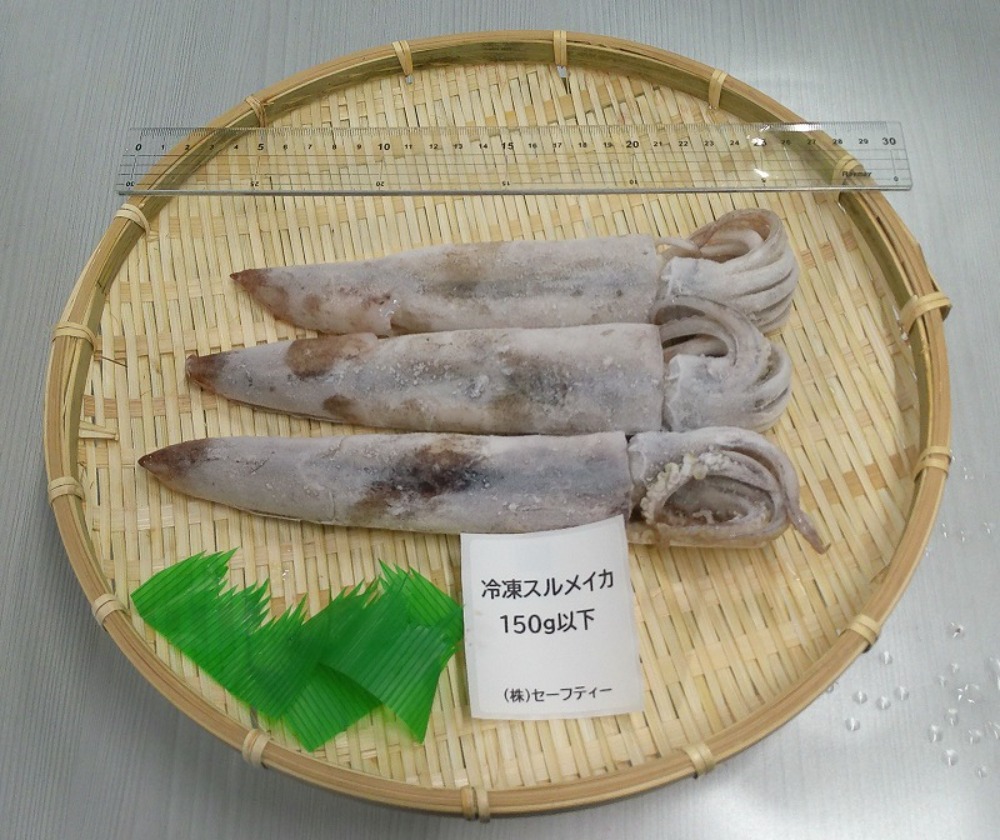 【宮城県石巻産】冷凍スルメイカ　8kg（80-150ｇ/一杯）（53〜100尾）（生食用）