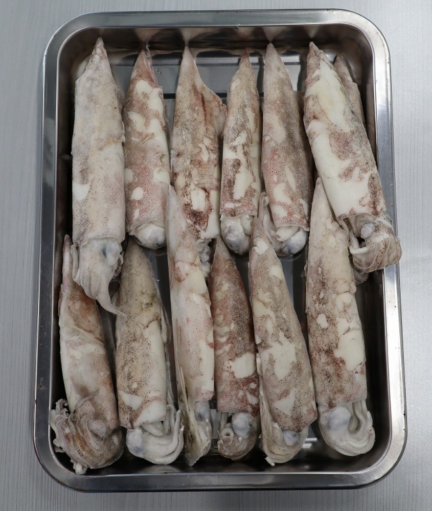 【不定貫】【宮城県石巻産】冷凍ヤリイカ　ラウンド　4kg