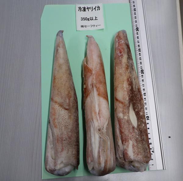 【宮城県石巻産】冷凍ヤリイカ　4kg（350g以上/一杯）