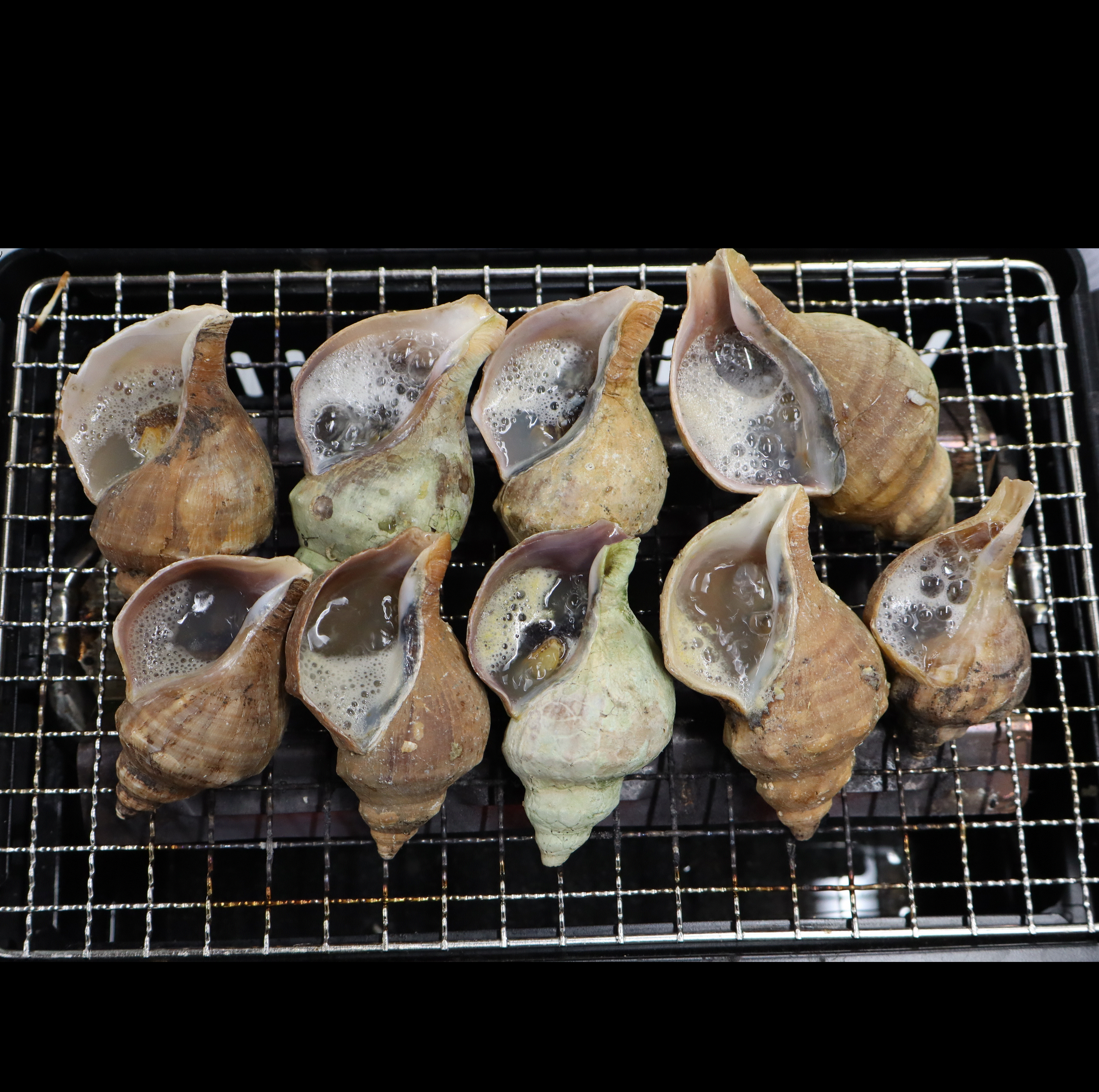 【宮城県石巻産】冷凍つぶ貝の炉端焼き（ボイル済）4㎏（1個50〜80ｇ）